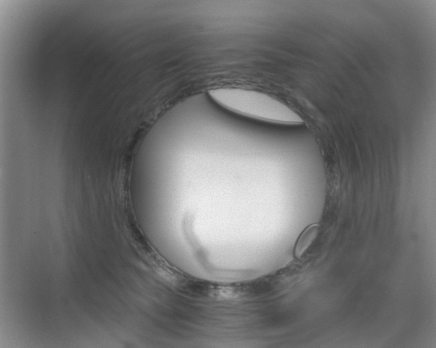 X0000076030565200609220856