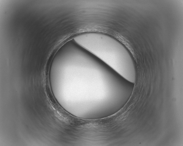 X0000076030578200609220855