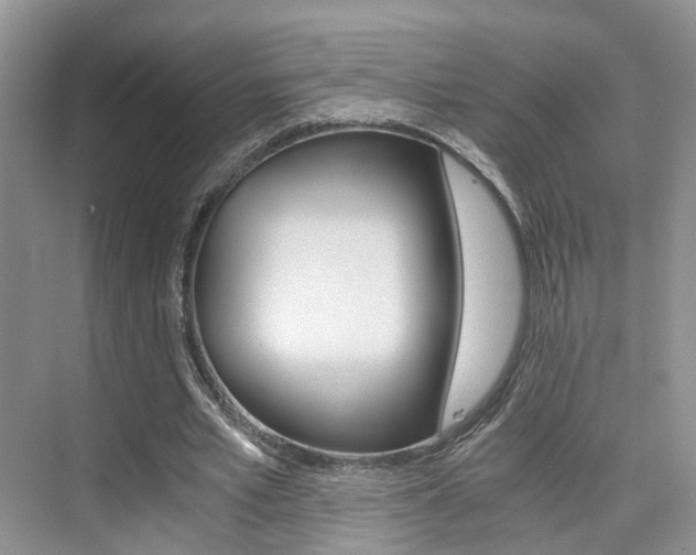 X0000076030581200609220855