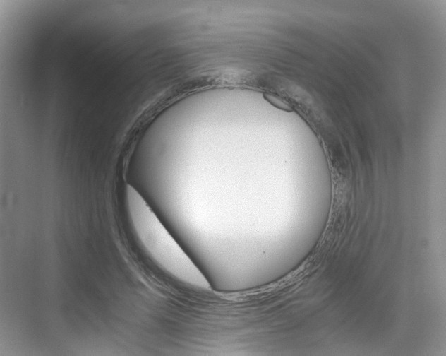 X0000076030591200609220855