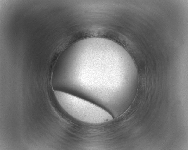 X0000076030594200609220855