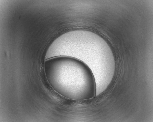 X0000076030597200609220855