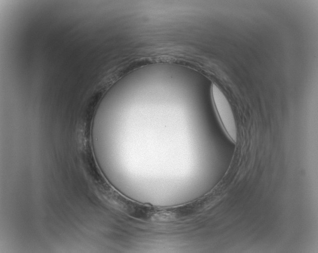 X0000076030599200609220855