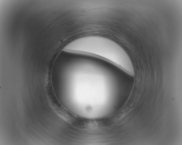 X0000076030600200609220855