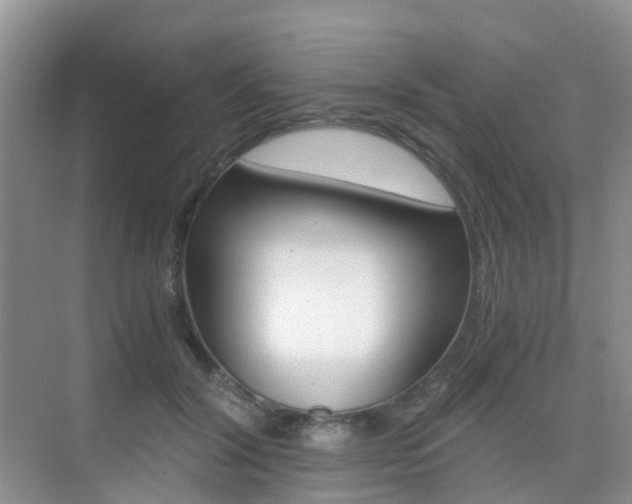 X0000076030604200609220854