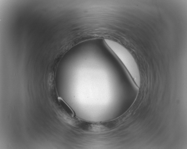 X0000076030605200609220854