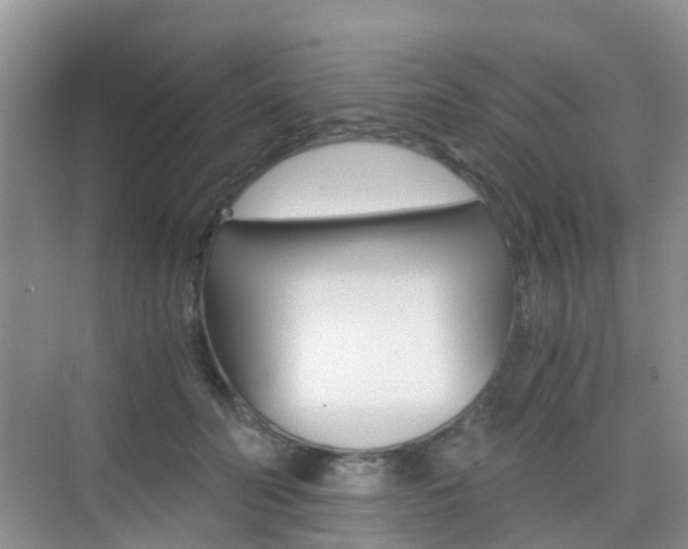 X0000076030606200609220854