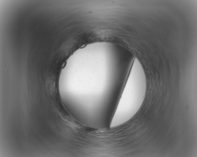 X0000076030615200609220854