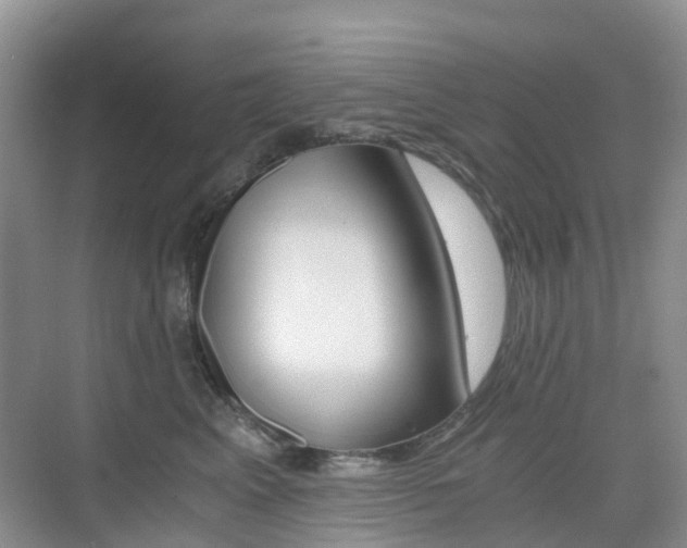 X0000076030617200609220854
