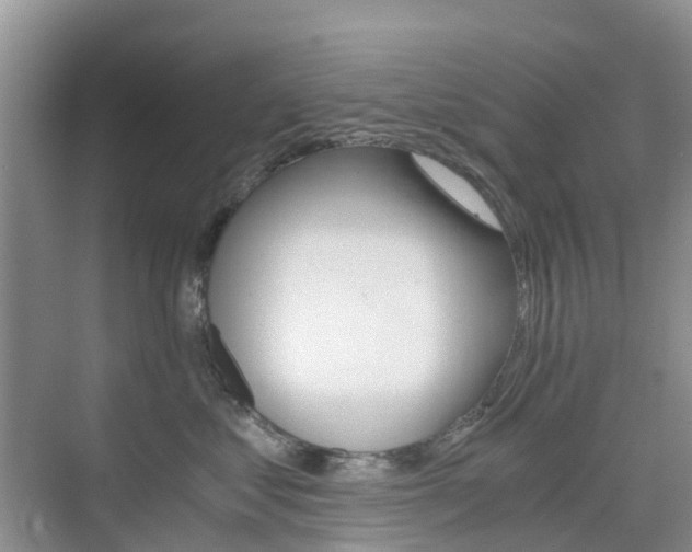 X0000076030621200609220854