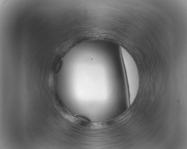 X0000076030623200609220854