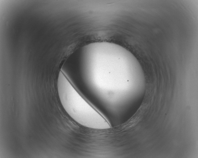 X0000076030624200609220854