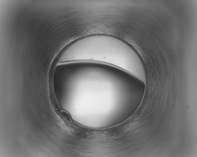 X0000076030626200609220853