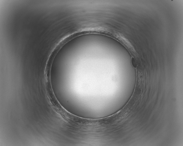 X0000076030628200609220853