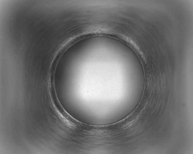 X0000076030629200609220853