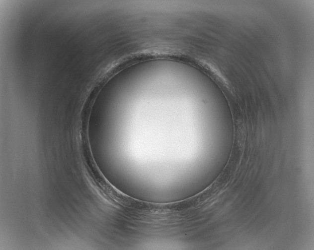 X0000076030631200609220853