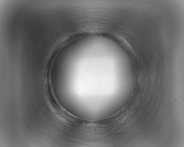 X0000076030635200609220853