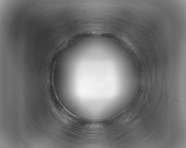 X0000076030639200609220854