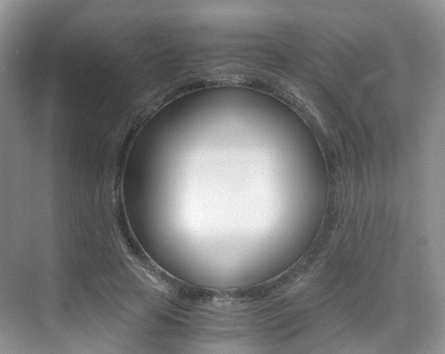 X0000076030641200609220854