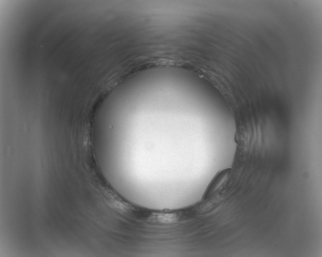 X0000076030665200609220854