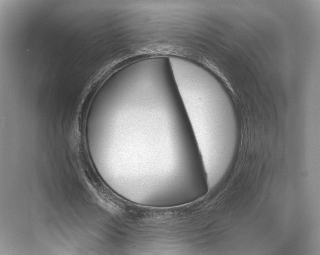 X0000076030674200609220853