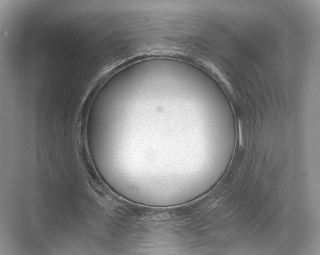 X0000076030675200609220853