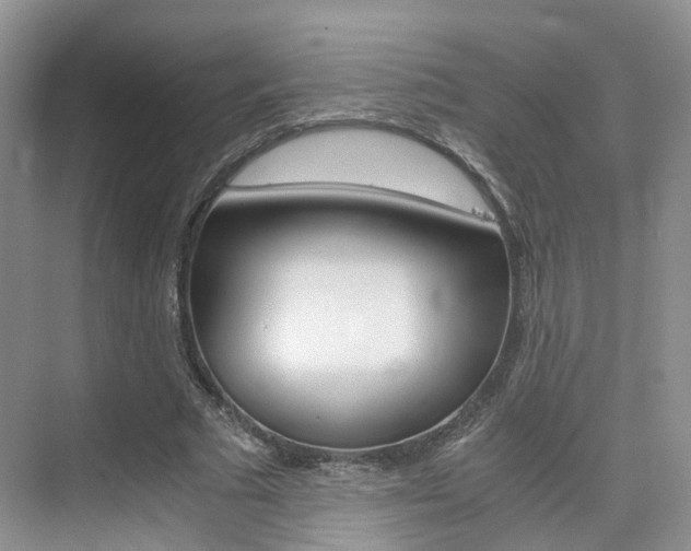 X0000076030681200609220853
