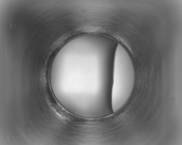 X0000076030682200609220853