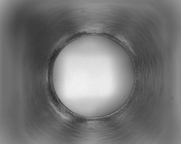 X0000076030686200609220853