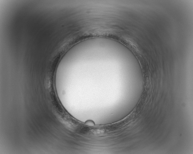 X0000076030687200609220853