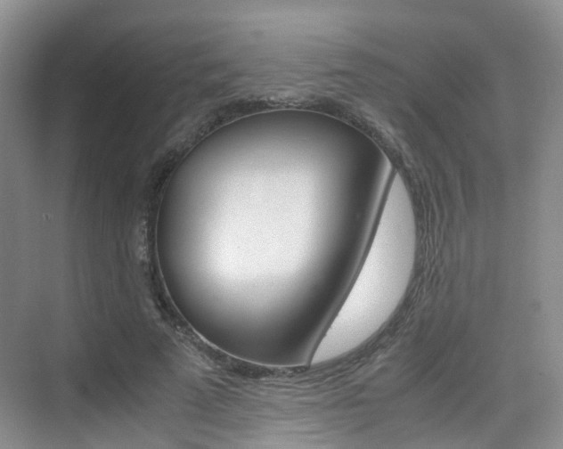 X0000076030689200609220853