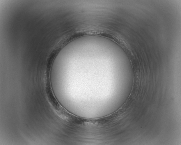 X0000076030690200609220853