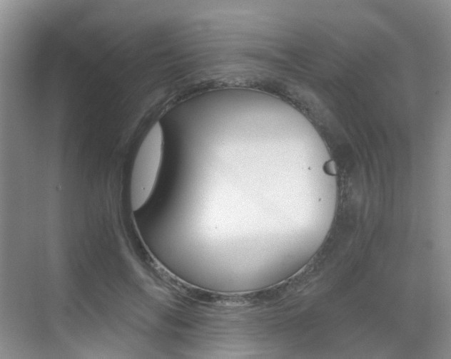 X0000076030694200609220853