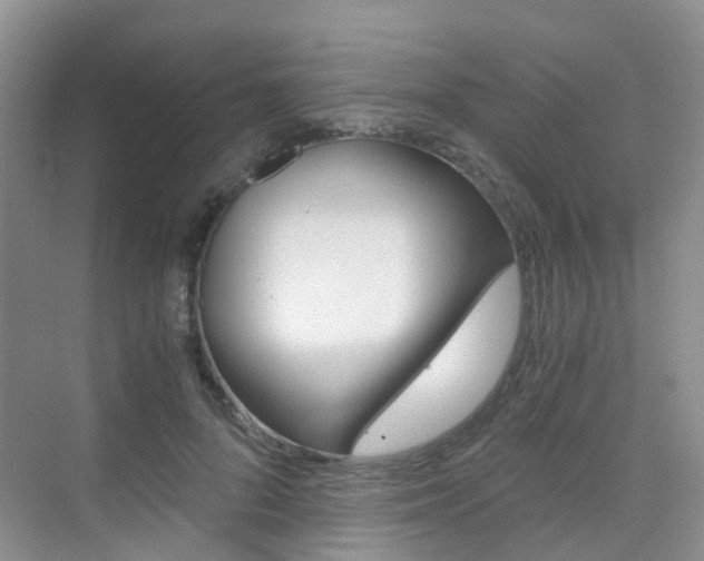 X0000076030696200609220853