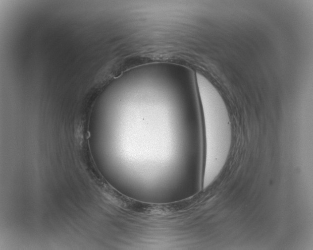 X0000076030697200609220853