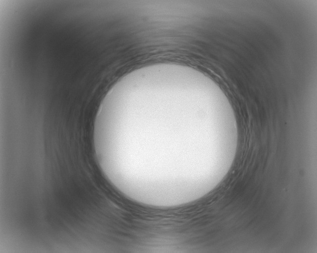 X0000076030701200609220853