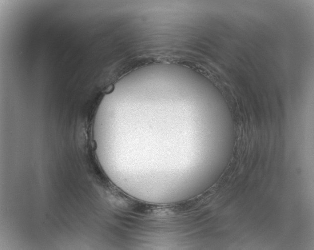 X0000076030702200609220853