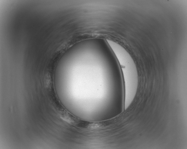 X0000076030704200609220853