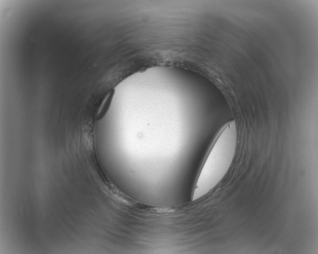 X0000076030719200609220853