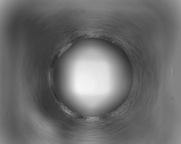 X0000076030720200609220853