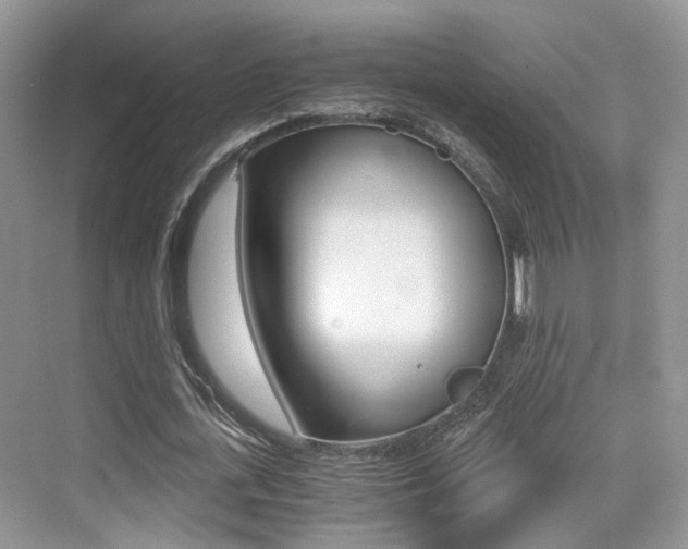 X0000076030723200609220852