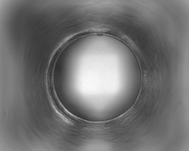 X0000076030726200609220852
