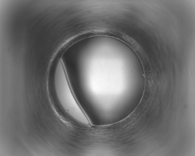 X0000076030728200609220852