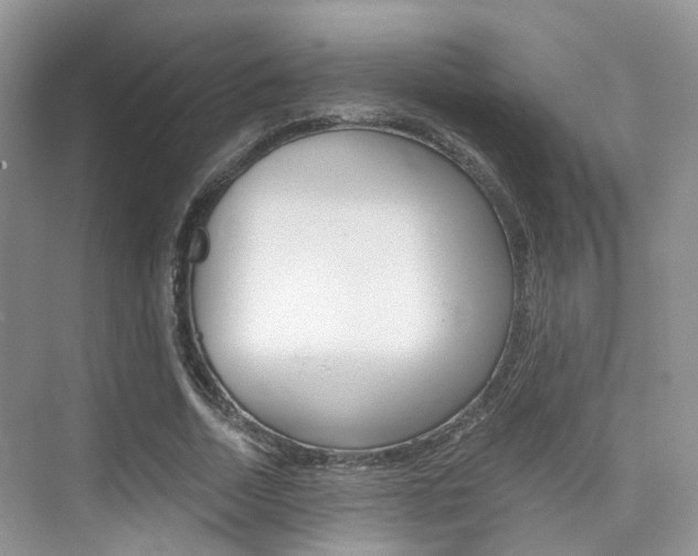 X0000076030730200609220852
