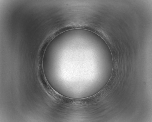 X0000076030736200609220852