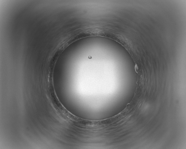 X0000076030739200609220852