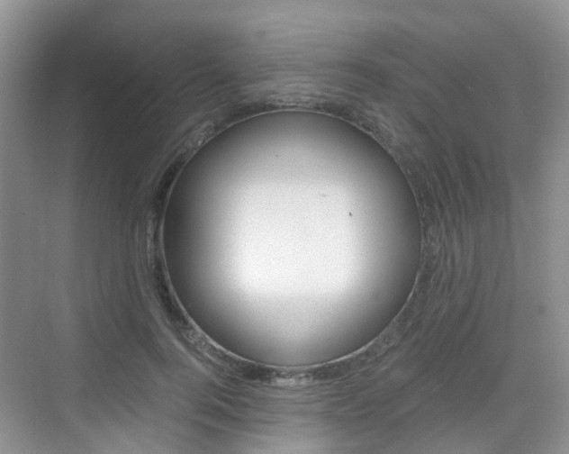X0000076030744200609220852