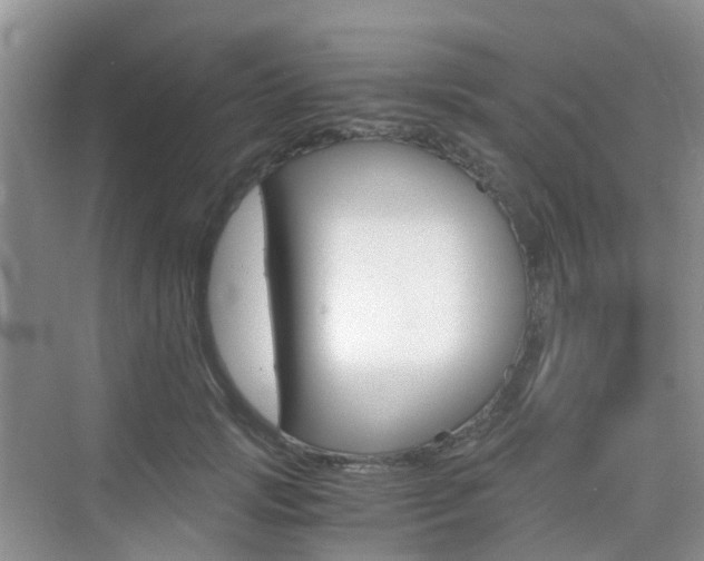 X0000076030749200609220852