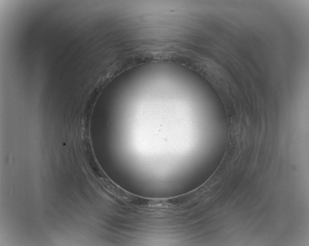 X0000076030752200609220852
