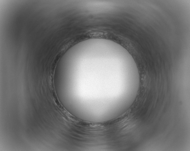 X0000076030753200609220852